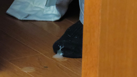 Hairy Asian creampie along naughtyР’В Miria Hazuki